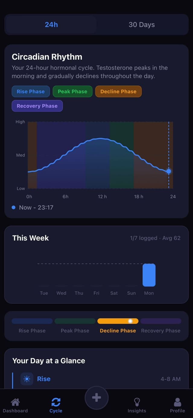 Circadian rhythm graph showing hormonal phases